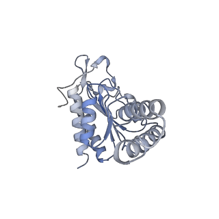 13461_7pjv_b_v1-0
Structure of the 70S-EF-G-GDP-Pi ribosome complex with tRNAs in hybrid state 1 (H1-EF-G-GDP-Pi)