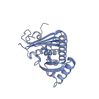 13461_7pjv_c_v1-0
Structure of the 70S-EF-G-GDP-Pi ribosome complex with tRNAs in hybrid state 1 (H1-EF-G-GDP-Pi)