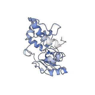 13461_7pjv_d_v1-0
Structure of the 70S-EF-G-GDP-Pi ribosome complex with tRNAs in hybrid state 1 (H1-EF-G-GDP-Pi)