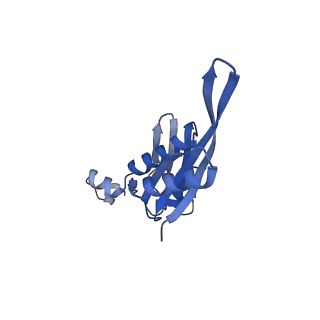 13461_7pjv_e_v1-0
Structure of the 70S-EF-G-GDP-Pi ribosome complex with tRNAs in hybrid state 1 (H1-EF-G-GDP-Pi)