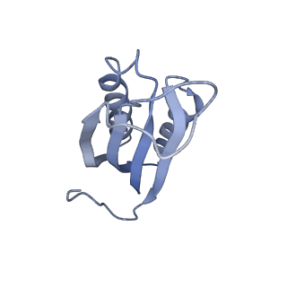 13461_7pjv_f_v1-0
Structure of the 70S-EF-G-GDP-Pi ribosome complex with tRNAs in hybrid state 1 (H1-EF-G-GDP-Pi)