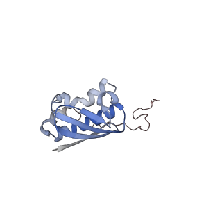 13461_7pjv_i_v1-0
Structure of the 70S-EF-G-GDP-Pi ribosome complex with tRNAs in hybrid state 1 (H1-EF-G-GDP-Pi)