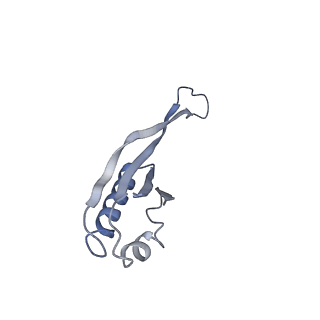 13461_7pjv_j_v1-0
Structure of the 70S-EF-G-GDP-Pi ribosome complex with tRNAs in hybrid state 1 (H1-EF-G-GDP-Pi)