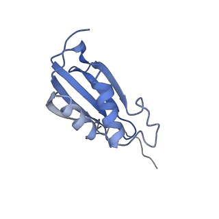 13461_7pjv_k_v1-0
Structure of the 70S-EF-G-GDP-Pi ribosome complex with tRNAs in hybrid state 1 (H1-EF-G-GDP-Pi)