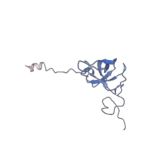 13461_7pjv_l_v1-0
Structure of the 70S-EF-G-GDP-Pi ribosome complex with tRNAs in hybrid state 1 (H1-EF-G-GDP-Pi)