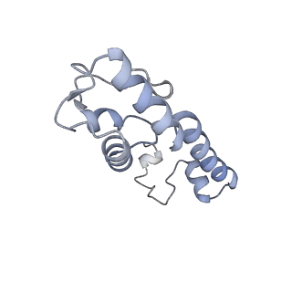13461_7pjv_m_v1-0
Structure of the 70S-EF-G-GDP-Pi ribosome complex with tRNAs in hybrid state 1 (H1-EF-G-GDP-Pi)