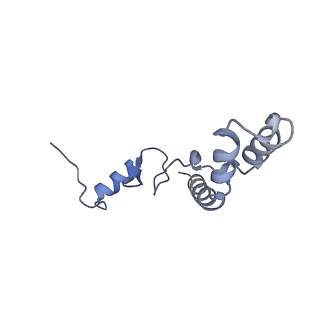 13461_7pjv_n_v1-0
Structure of the 70S-EF-G-GDP-Pi ribosome complex with tRNAs in hybrid state 1 (H1-EF-G-GDP-Pi)