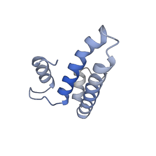 13461_7pjv_o_v1-0
Structure of the 70S-EF-G-GDP-Pi ribosome complex with tRNAs in hybrid state 1 (H1-EF-G-GDP-Pi)