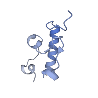 13461_7pjv_r_v1-0
Structure of the 70S-EF-G-GDP-Pi ribosome complex with tRNAs in hybrid state 1 (H1-EF-G-GDP-Pi)