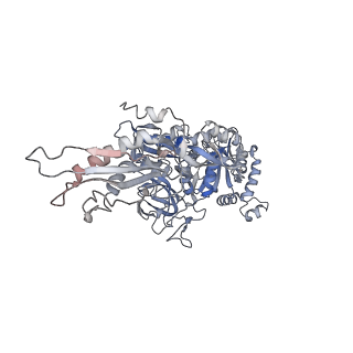 13461_7pjv_x_v1-0
Structure of the 70S-EF-G-GDP-Pi ribosome complex with tRNAs in hybrid state 1 (H1-EF-G-GDP-Pi)