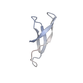13462_7pjw_1_v1-0
Structure of the 70S-EF-G-GDP-Pi ribosome complex with tRNAs in hybrid state 2 (H2-EF-G-GDP-Pi)