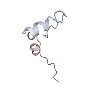 13462_7pjw_2_v1-0
Structure of the 70S-EF-G-GDP-Pi ribosome complex with tRNAs in hybrid state 2 (H2-EF-G-GDP-Pi)