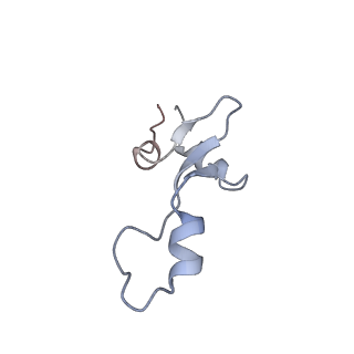 13462_7pjw_3_v1-0
Structure of the 70S-EF-G-GDP-Pi ribosome complex with tRNAs in hybrid state 2 (H2-EF-G-GDP-Pi)