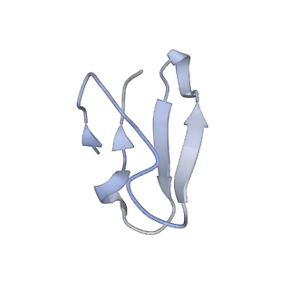13462_7pjw_4_v1-0
Structure of the 70S-EF-G-GDP-Pi ribosome complex with tRNAs in hybrid state 2 (H2-EF-G-GDP-Pi)