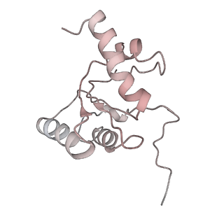 13462_7pjw_5_v1-0
Structure of the 70S-EF-G-GDP-Pi ribosome complex with tRNAs in hybrid state 2 (H2-EF-G-GDP-Pi)