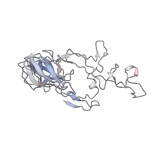 13462_7pjw_C_v1-0
Structure of the 70S-EF-G-GDP-Pi ribosome complex with tRNAs in hybrid state 2 (H2-EF-G-GDP-Pi)