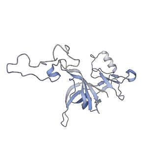 13462_7pjw_D_v1-0
Structure of the 70S-EF-G-GDP-Pi ribosome complex with tRNAs in hybrid state 2 (H2-EF-G-GDP-Pi)