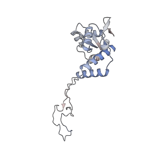13462_7pjw_E_v1-0
Structure of the 70S-EF-G-GDP-Pi ribosome complex with tRNAs in hybrid state 2 (H2-EF-G-GDP-Pi)