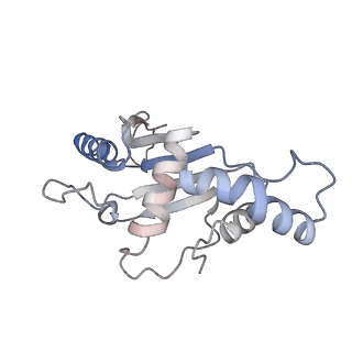 13462_7pjw_F_v1-0
Structure of the 70S-EF-G-GDP-Pi ribosome complex with tRNAs in hybrid state 2 (H2-EF-G-GDP-Pi)