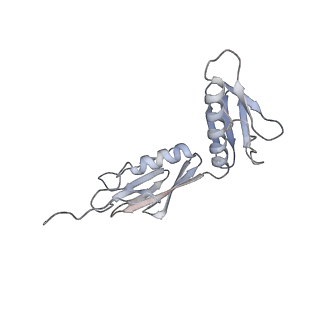 13462_7pjw_G_v1-0
Structure of the 70S-EF-G-GDP-Pi ribosome complex with tRNAs in hybrid state 2 (H2-EF-G-GDP-Pi)