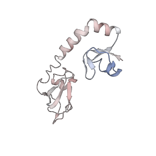 13462_7pjw_H_v1-0
Structure of the 70S-EF-G-GDP-Pi ribosome complex with tRNAs in hybrid state 2 (H2-EF-G-GDP-Pi)