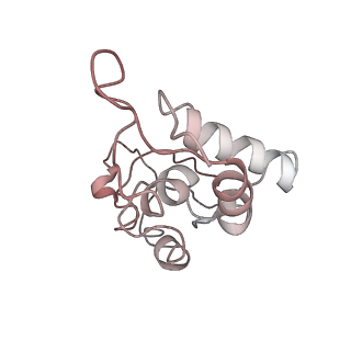 13462_7pjw_I_v1-0
Structure of the 70S-EF-G-GDP-Pi ribosome complex with tRNAs in hybrid state 2 (H2-EF-G-GDP-Pi)
