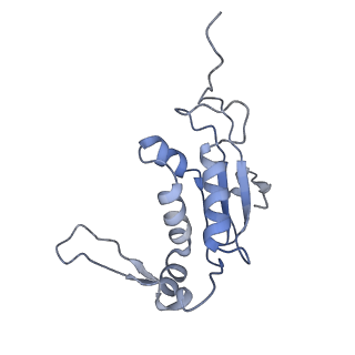 13462_7pjw_J_v1-0
Structure of the 70S-EF-G-GDP-Pi ribosome complex with tRNAs in hybrid state 2 (H2-EF-G-GDP-Pi)