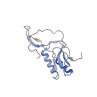 13462_7pjw_M_v1-0
Structure of the 70S-EF-G-GDP-Pi ribosome complex with tRNAs in hybrid state 2 (H2-EF-G-GDP-Pi)