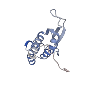 13462_7pjw_N_v1-0
Structure of the 70S-EF-G-GDP-Pi ribosome complex with tRNAs in hybrid state 2 (H2-EF-G-GDP-Pi)