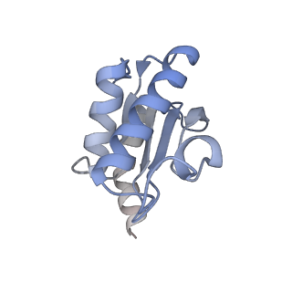 13462_7pjw_O_v1-0
Structure of the 70S-EF-G-GDP-Pi ribosome complex with tRNAs in hybrid state 2 (H2-EF-G-GDP-Pi)