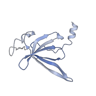 13462_7pjw_P_v1-0
Structure of the 70S-EF-G-GDP-Pi ribosome complex with tRNAs in hybrid state 2 (H2-EF-G-GDP-Pi)