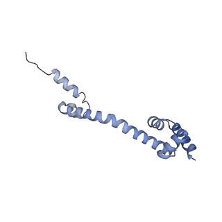 13462_7pjw_Q_v1-0
Structure of the 70S-EF-G-GDP-Pi ribosome complex with tRNAs in hybrid state 2 (H2-EF-G-GDP-Pi)