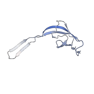 13462_7pjw_R_v1-0
Structure of the 70S-EF-G-GDP-Pi ribosome complex with tRNAs in hybrid state 2 (H2-EF-G-GDP-Pi)