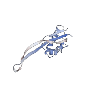13462_7pjw_S_v1-0
Structure of the 70S-EF-G-GDP-Pi ribosome complex with tRNAs in hybrid state 2 (H2-EF-G-GDP-Pi)