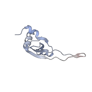 13462_7pjw_T_v1-0
Structure of the 70S-EF-G-GDP-Pi ribosome complex with tRNAs in hybrid state 2 (H2-EF-G-GDP-Pi)