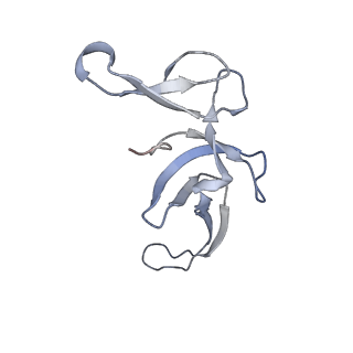 13462_7pjw_U_v1-0
Structure of the 70S-EF-G-GDP-Pi ribosome complex with tRNAs in hybrid state 2 (H2-EF-G-GDP-Pi)
