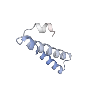 13462_7pjw_Y_v1-0
Structure of the 70S-EF-G-GDP-Pi ribosome complex with tRNAs in hybrid state 2 (H2-EF-G-GDP-Pi)