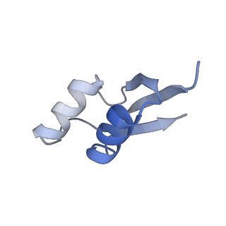 13462_7pjw_Z_v1-0
Structure of the 70S-EF-G-GDP-Pi ribosome complex with tRNAs in hybrid state 2 (H2-EF-G-GDP-Pi)