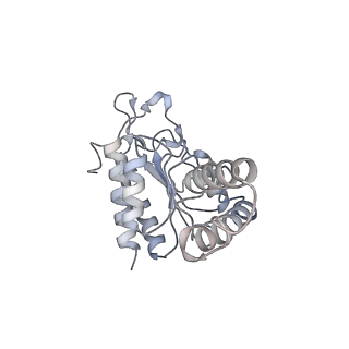 13462_7pjw_b_v1-0
Structure of the 70S-EF-G-GDP-Pi ribosome complex with tRNAs in hybrid state 2 (H2-EF-G-GDP-Pi)