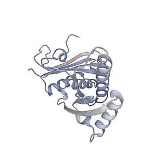 13462_7pjw_c_v1-0
Structure of the 70S-EF-G-GDP-Pi ribosome complex with tRNAs in hybrid state 2 (H2-EF-G-GDP-Pi)