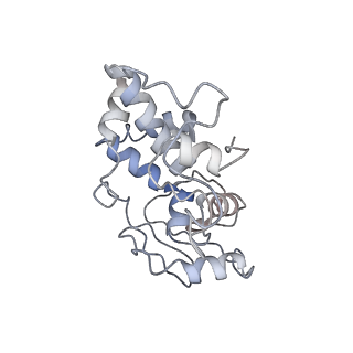13462_7pjw_d_v1-0
Structure of the 70S-EF-G-GDP-Pi ribosome complex with tRNAs in hybrid state 2 (H2-EF-G-GDP-Pi)