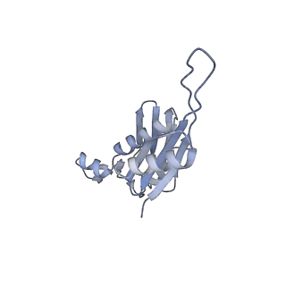 13462_7pjw_e_v1-0
Structure of the 70S-EF-G-GDP-Pi ribosome complex with tRNAs in hybrid state 2 (H2-EF-G-GDP-Pi)