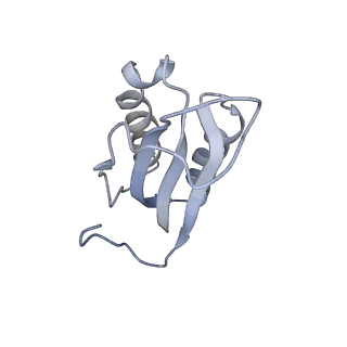 13462_7pjw_f_v1-0
Structure of the 70S-EF-G-GDP-Pi ribosome complex with tRNAs in hybrid state 2 (H2-EF-G-GDP-Pi)