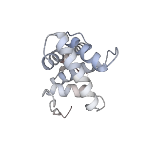 13462_7pjw_g_v1-0
Structure of the 70S-EF-G-GDP-Pi ribosome complex with tRNAs in hybrid state 2 (H2-EF-G-GDP-Pi)