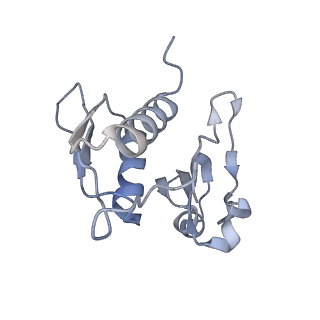 13462_7pjw_h_v1-0
Structure of the 70S-EF-G-GDP-Pi ribosome complex with tRNAs in hybrid state 2 (H2-EF-G-GDP-Pi)