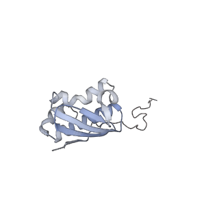 13462_7pjw_i_v1-0
Structure of the 70S-EF-G-GDP-Pi ribosome complex with tRNAs in hybrid state 2 (H2-EF-G-GDP-Pi)