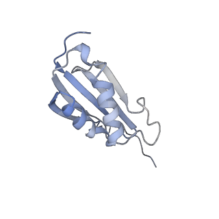 13462_7pjw_k_v1-0
Structure of the 70S-EF-G-GDP-Pi ribosome complex with tRNAs in hybrid state 2 (H2-EF-G-GDP-Pi)