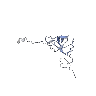 13462_7pjw_l_v1-0
Structure of the 70S-EF-G-GDP-Pi ribosome complex with tRNAs in hybrid state 2 (H2-EF-G-GDP-Pi)