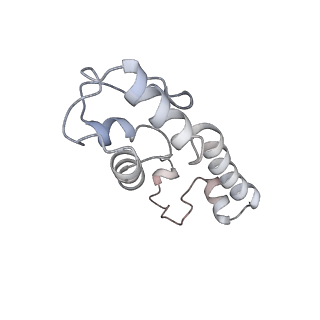 13462_7pjw_m_v1-0
Structure of the 70S-EF-G-GDP-Pi ribosome complex with tRNAs in hybrid state 2 (H2-EF-G-GDP-Pi)