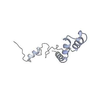 13462_7pjw_n_v1-0
Structure of the 70S-EF-G-GDP-Pi ribosome complex with tRNAs in hybrid state 2 (H2-EF-G-GDP-Pi)